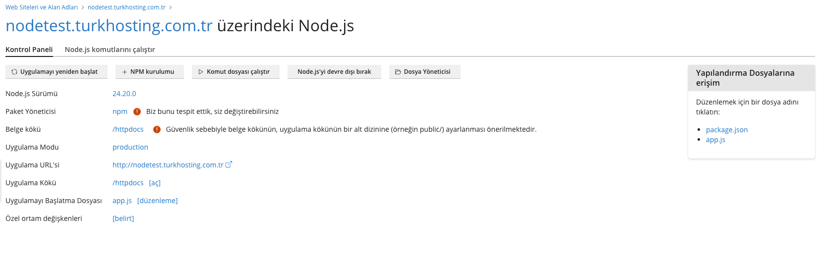 Plesk Node.js Toolkit kontrol paneli: Node.js sürümü, uygulama kökü, başlatma dosyası ve ortam değişkenleri alanları